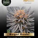 Sugoi Zushi (Feminized) - In House Genetics