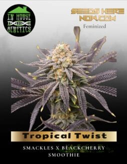 Tropical Twist (Feminized) (space) In House Genetics