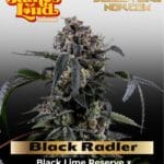 Black Radler (Feminized) - James Loud Genetics