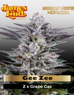 Gee Zee Feminized Seeds (space) James Loud Genetics