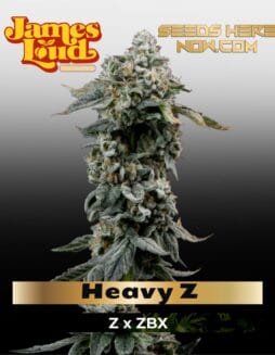Heavy Z Feminized Seeds (space) James Loud Genetics