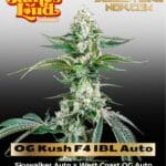 OG Kush F4 IBL Auto (Feminized) - James Loud Genetics