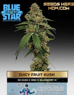 Juicy Fruit Kush feminized cannabis seeds by DJ Short