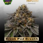 Break Pad Breath (Feminized) - Ripper Seeds