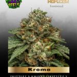 Kroma (Feminized) - Ripper Seeds