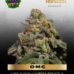 OMG (Feminized) - Ripper Seeds