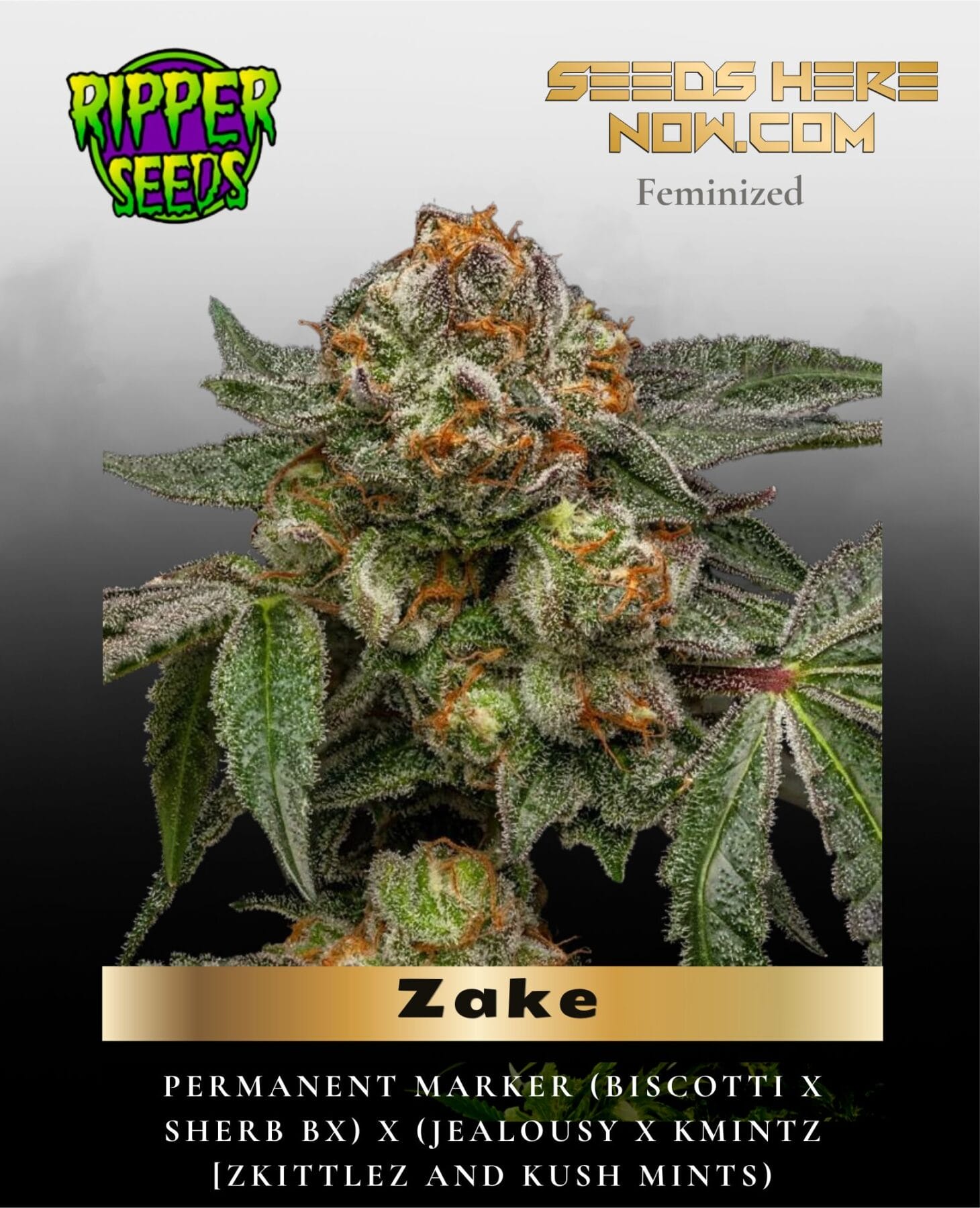 Zake (Feminized) - Ripper Seeds