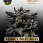 Zombie Kush Auto (Feminized) - Ripper Seeds