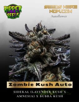 Zombie Kush Auto (Feminized) (space) Ripper Seeds