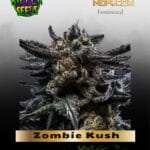 Zombie Kush (Feminized) - Ripper Seeds