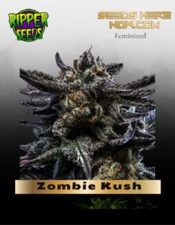 Zombie Kush (Feminized) (space) Ripper Seeds
