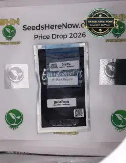 BluePops + DripV2 (Regular) (space) Envy Genetics