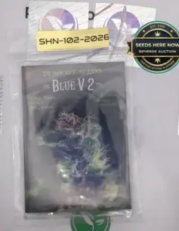 Blue V(space)2 (Regular) (space) DJ Short Seeds