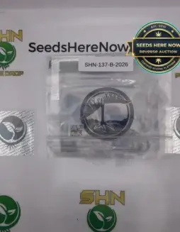 Dive Bomb (Regular) (space) Bloom Seed Co.