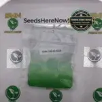 BSHW Colombian (Regular) - Coastal Seed Co.