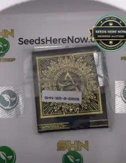 3D (Regular) (space) Swamp Boys Seeds