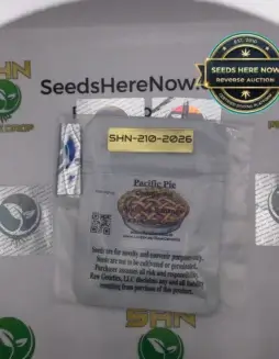 Pacific Pie (space) Raw Genetics