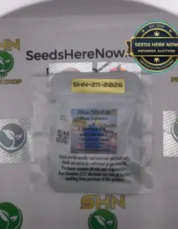 Blue Slushie (Feminized Seeds) (space) Raw Genetics