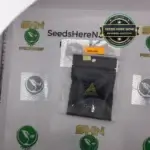 Moon Boots (Feminized) - Archive Seed Bank