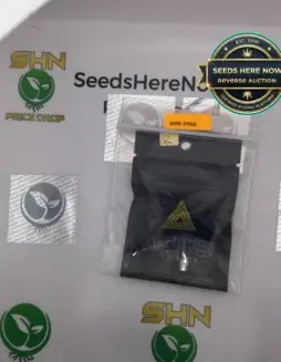 Moon Boots (Feminized) (space) Archive Seed Bank