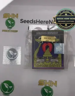 Purple Churro (space) Compound Genetics