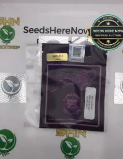 Rose Gold Runtz (Feminized) (space) Compound Genetics