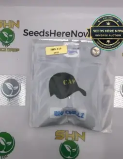 Big Chillz (Regular) (space) Capulator