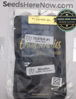 BlowMan (Regular) (space) Envy Genetics