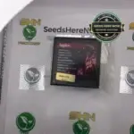 Jigglers (Feminized) - Exotic Genetix