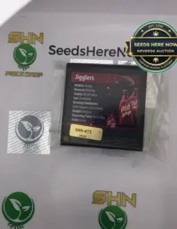 Jigglers (Feminized) (space) Exotic Genetix