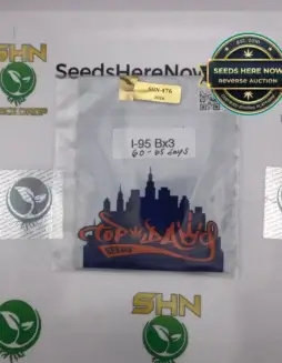 I(space)95 Bx3 (Regular) (space) Top Dawg Seeds