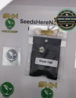 Royal Oak (space) Archive Seed Bank