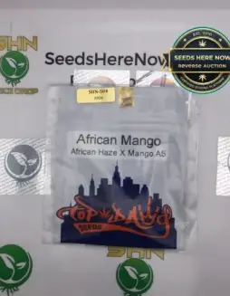 African Mango (Regular) (space) Top Dawg Seeds
