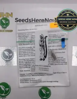 Sangria Punch (space) Dominion Seed Company