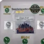 Chem Puff (Regular) - Top Dawg Seeds