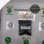 Show Boat (Regular) - Archive Seed Bank