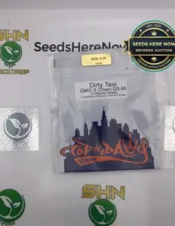 Dirty Taxi (Regular) (space) Top Dog Seeds