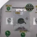 GRANNY MAC (Regular) - CAP