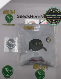 GRANNY MAC (Regular) (space) CAP