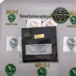 Ripped Off Runtz (Feminized) - Seed Junky