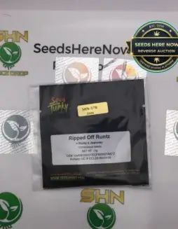 Ripped Off Runtz (Feminized) (space) Seed Junky