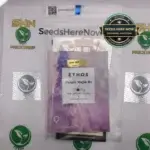 Purple Majik R1 (Feminized) - Ethos Genetics