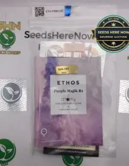 Purple Majik R1 (Feminized) (space) Ethos Genetics
