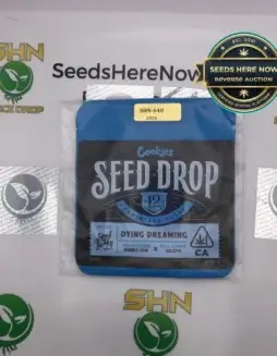 Dying Dreaming (Feminized) (space) Seed Junky