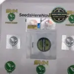 Twurkle (Regular) - Maddfarmer Genetics