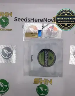 Twurkle (Regular) (space) Maddfarmer Genetics