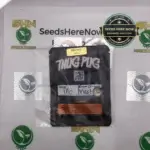 Mo Meat (Regular) - Thug Pugs