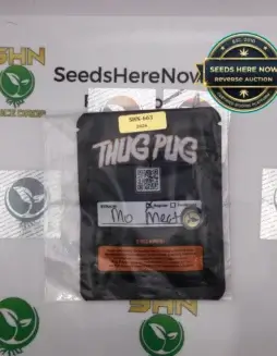 Mo Meat (Regular) (space) Thug Pugs