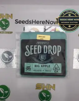Big Apple (Regular) (space) Seed Junky