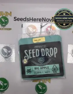 Big Apple (Regular) (space) Seed Junky Genetics